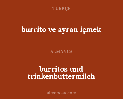 burritos und trinkenbuttermilch - burrito ve ayran içmek