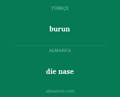 burun - die nase