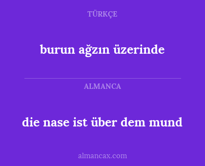 die nase ist über dem mund - burun ağzın üzerinde