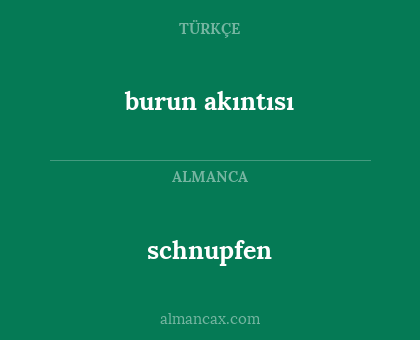 burun akıntısı - schnupfen