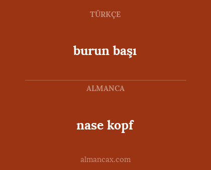 burun başı - nase kopf