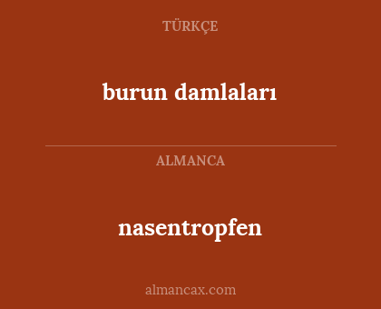 burun damlaları - nasentropfen