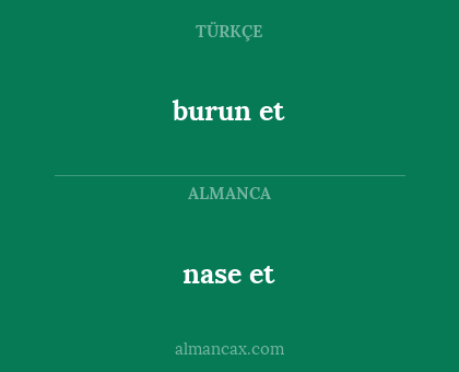 burun et - nase et