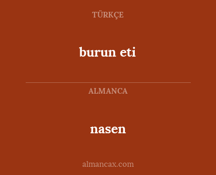 burun eti - nasen