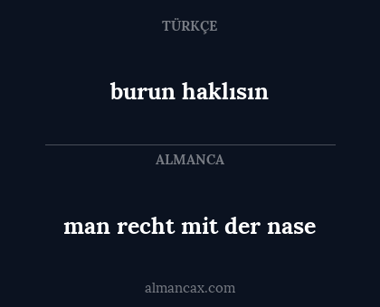 burun haklısın - man recht mit der nase