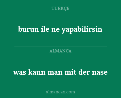 was kann man mit der nase - burun ile ne yapabilirsin