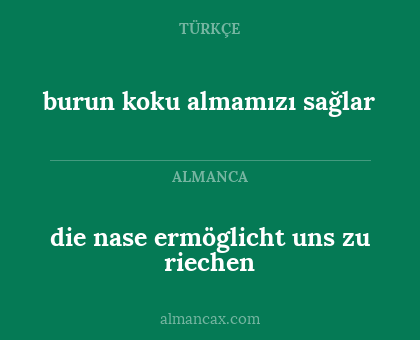 die nase ermöglicht uns zu riechen - burun koku almamızı sağlar