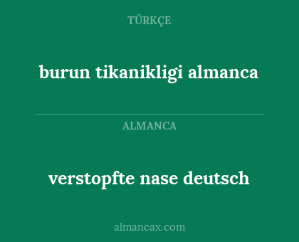 verstopfte nase deutsch - burun tikanikligi almanca