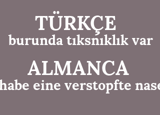 burunda+t%C4%B1ksn%C4%B1kl%C4%B1k+var-habe+eine+verstopfte+nase.png