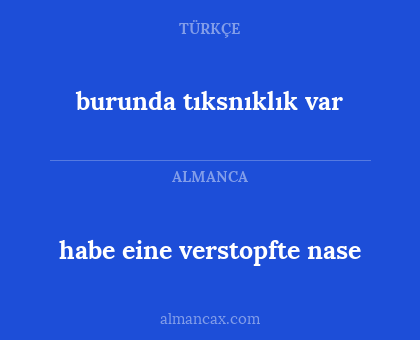 habe eine verstopfte nase - burunda tıksnıklık var
