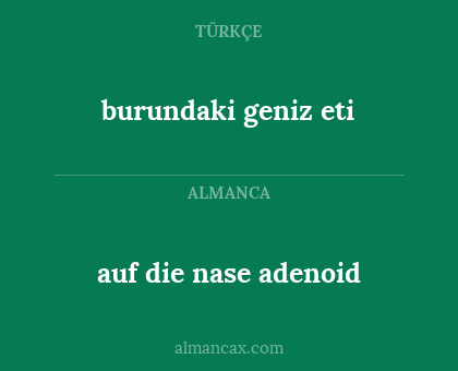 auf die nase adenoid - burundaki geniz eti