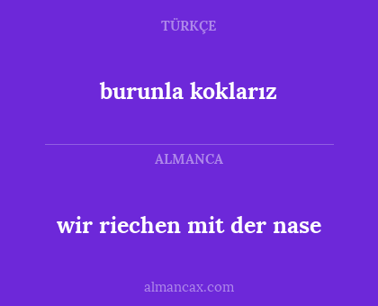 burunla koklarız - wir riechen mit der nase