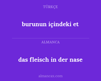 burunun içindeki et - das fleisch in der nase
