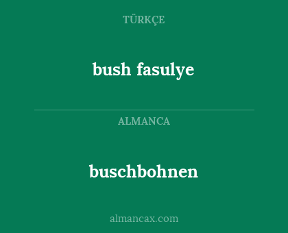 buschbohnen - bush fasulye