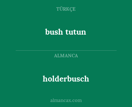 holderbusch - bush tutun