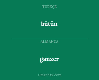 ganzer - bütün