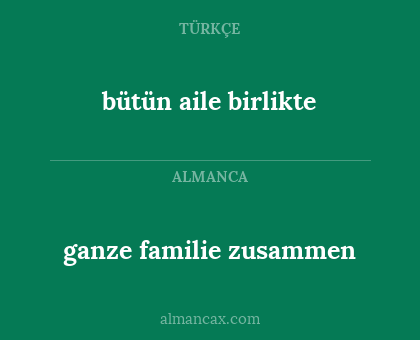 bütün aile birlikte - ganze familie zusammen