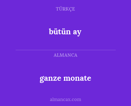 ganze monate - bütün ay