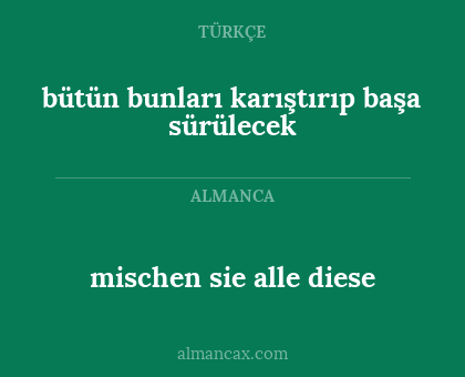 bütün bunları karıştırıp başa sürülecek - mischen sie alle diese