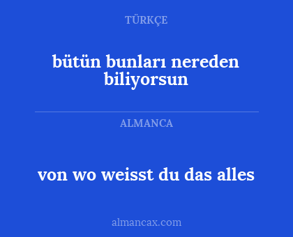 bütün bunları nereden biliyorsun - von wo weisst du das alles