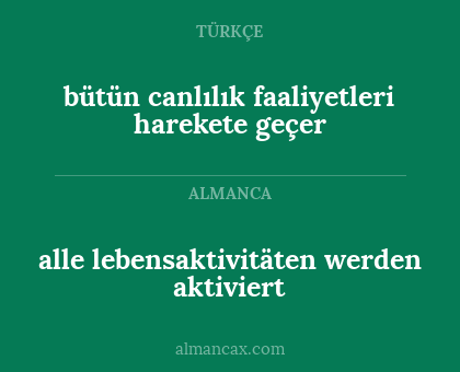 bütün canlılık faaliyetleri harekete geçer - alle lebensaktivitäten werden aktiviert