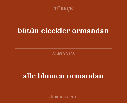 alle blumen ormandan - bütün cicekler ormandan