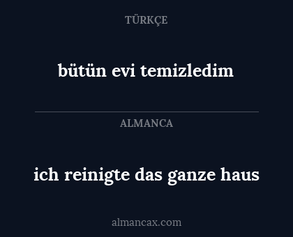 bütün evi temizledim - ich reinigte das ganze haus