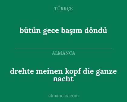 drehte meinen kopf die ganze nacht - bütün gece başım döndü