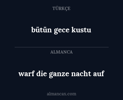 bütün gece kustu - warf die ganze nacht auf