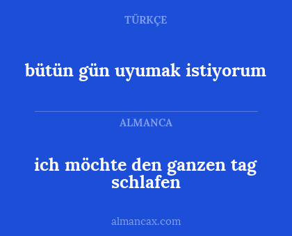 ich möchte den ganzen tag schlafen - bütün gün uyumak istiyorum