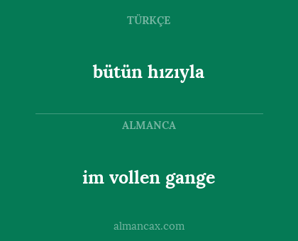 bütün hızıyla - im vollen gange