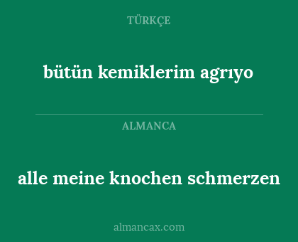 alle meine knochen schmerzen - bütün kemiklerim agrıyo