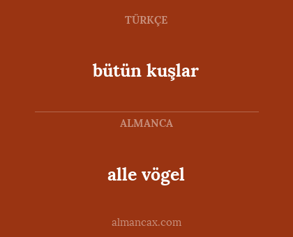 bütün kuşlar - alle vögel