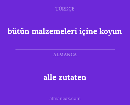 alle zutaten - bütün malzemeleri içine koyun
