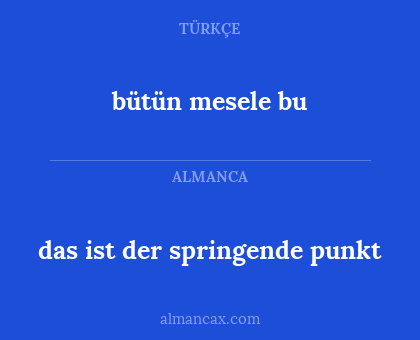 bütün mesele bu - das ist der springende punkt