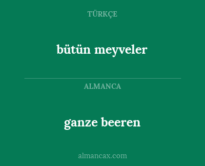 ganze beeren - bütün meyveler