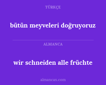bütün meyveleri doğruyoruz - wir schneiden alle früchte