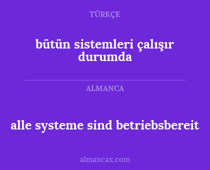 bütün sistemleri çalışır durumda - alle systeme sind betriebsbereit