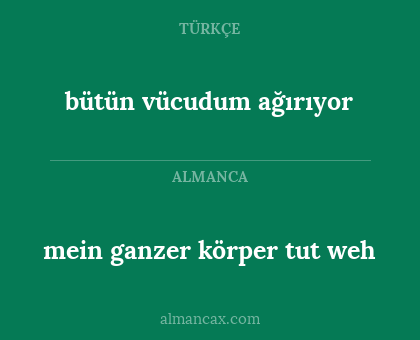 mein ganzer körper tut weh - bütün vücudum ağırıyor