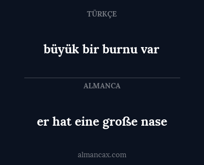 er hat eine große nase - büyük bir burnu var