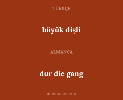 dur die gang - büyük dişli