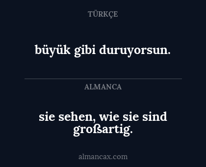 büyük gibi duruyorsun. - sie sehen, wie sie sind großartig.
