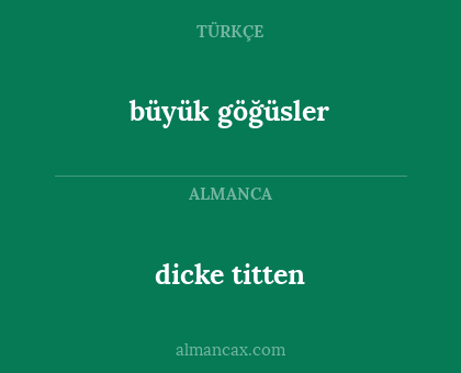 dicke titten - büyük göğüsler