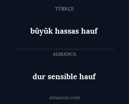 dur sensible hauf - büyük hassas hauf