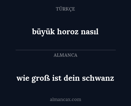 büyük horoz nasıl - wie groß ist dein schwanz