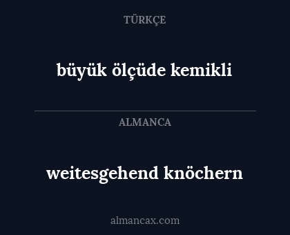 büyük ölçüde kemikli - weitesgehend knöchern