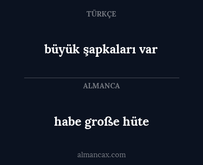 büyük şapkaları var - habe große hüte