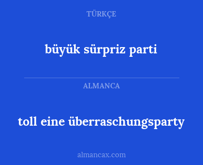 büyük sürpriz parti - toll eine überraschungsparty