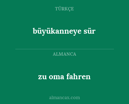 büyükanneye sür - zu oma fahren