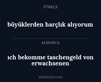 ıch bekomme taschengeld von erwachsenen - büyüklerden harçlık alıyorum